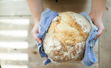 Zum Ausbildungsstart: wissenschaftliche Erkenntnisse über Ausbildung im Bäckerhandwerk