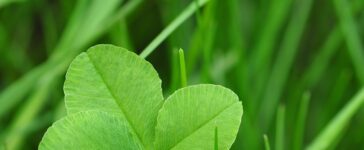 NGG wünscht Auszubildenden einen guten Start ins Berufsleben